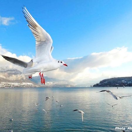 Magic Moments Appartement Annecy Dış mekan fotoğraf