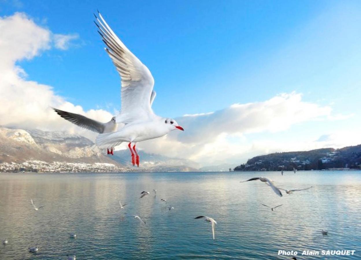 Magic Moments Appartement Annecy Dış mekan fotoğraf